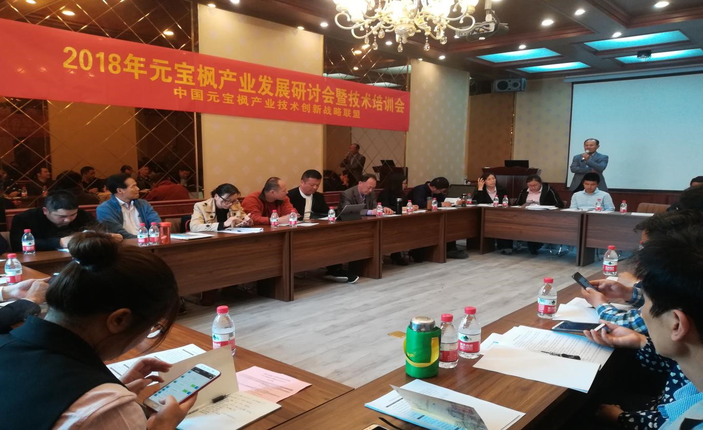 2018年(nian)元寶楓産(chan)業髮(fa)展(zhan)研讨會暨技(ji)術(shù)培訓會 在(zai)中(zhong)國(guo)元寶楓之(zhi)鄉(xiāng)山(shān)東泗水隆重(zhong)召開 2018年(nian)元寶楓産(chan)業髮(fa)展(zhan)研讨會暨技(ji)術(shù)培訓會 在(zai)中(zhong)國(guo)元寶楓之(zhi)鄉(xiāng)山(shān)東泗水隆重(zhong)召開