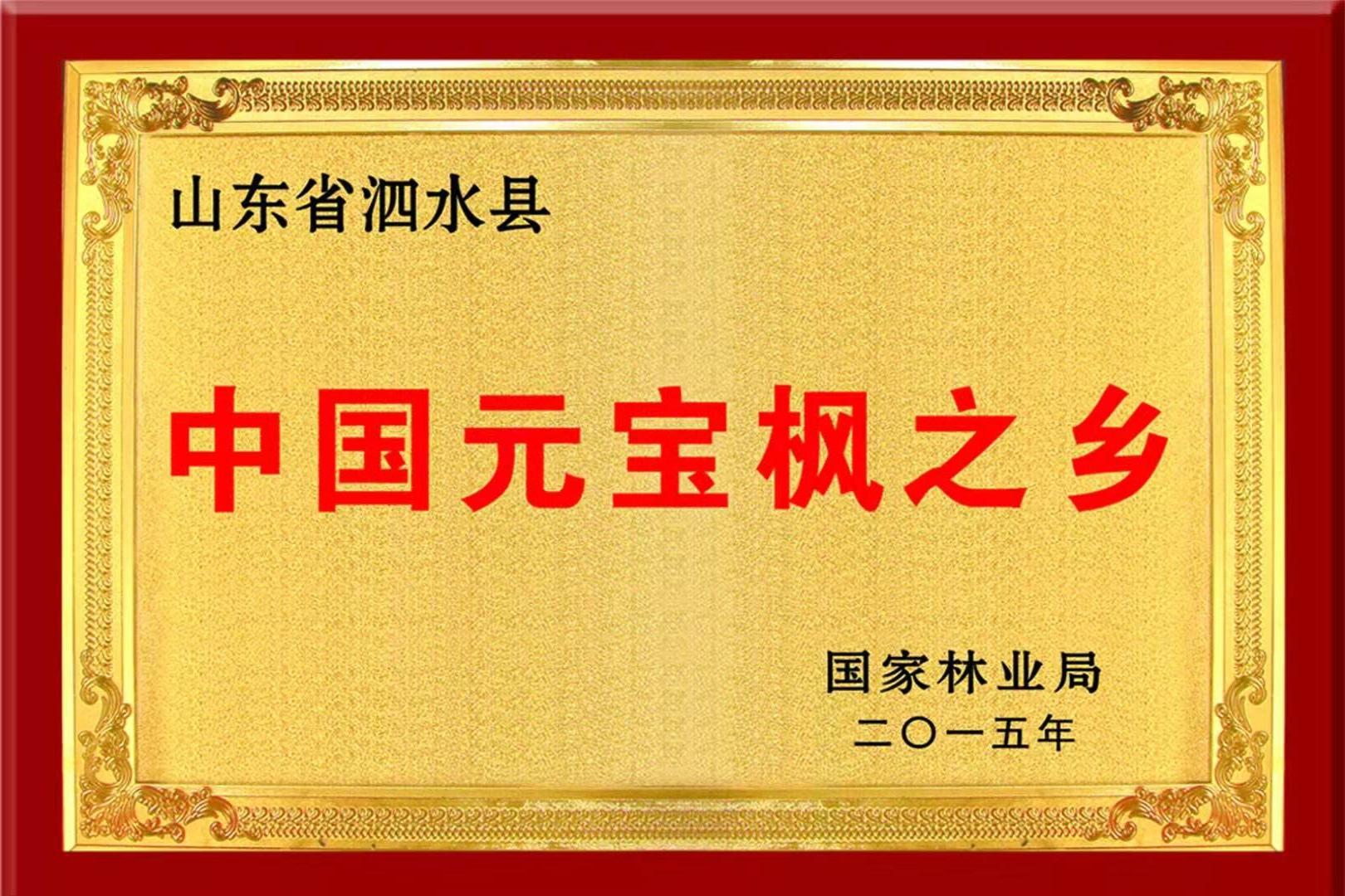 中(zhong)國(guo)元寶楓之(zhi)鄉(xiāng)