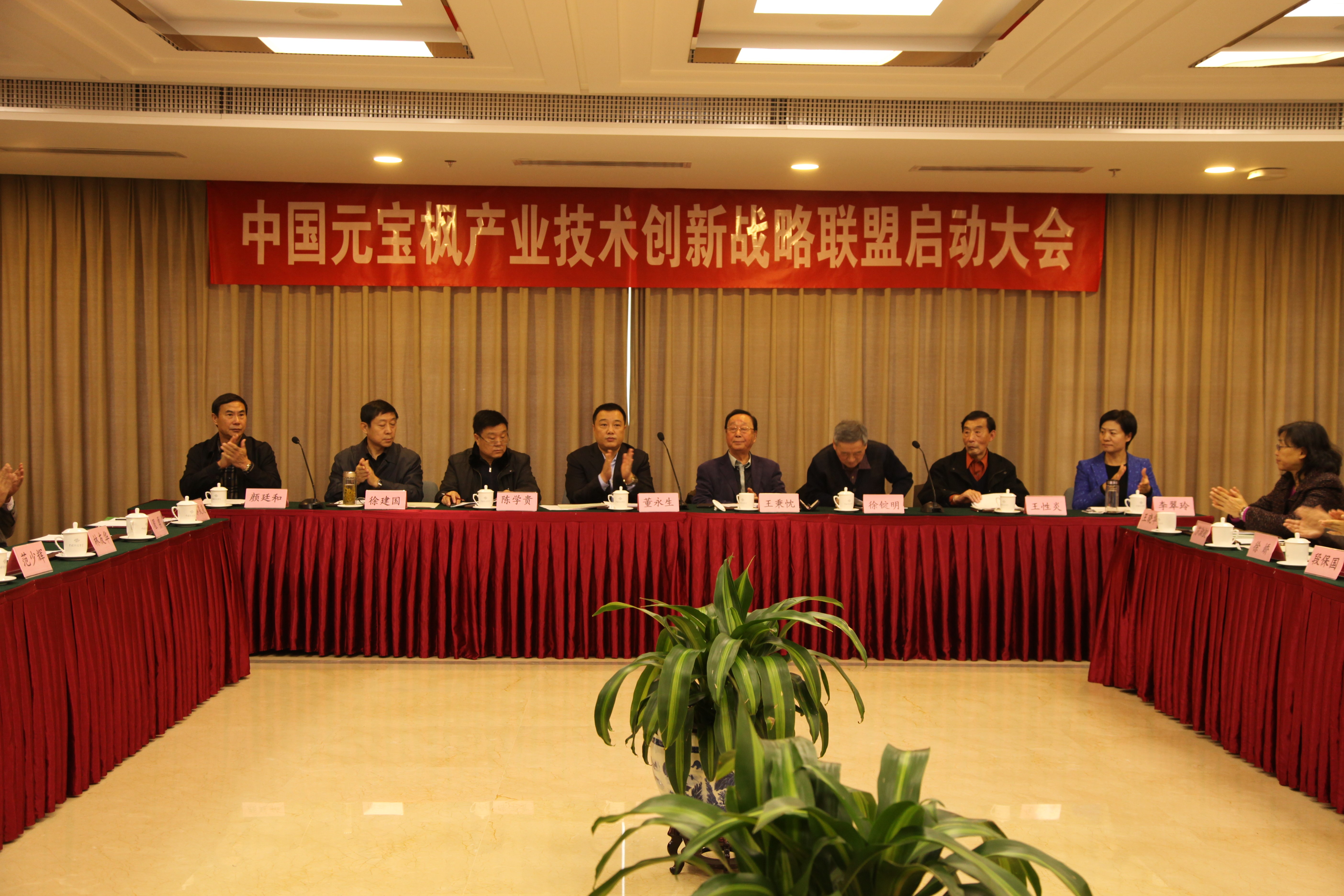 中(zhong)國(guo)元寶楓産(chan)業技(ji)術(shù)創新(xin)戰略聯(lian)盟簡介
